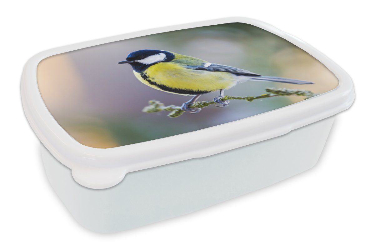 MuchoWow Lunchbox Kohlmeise - Vogel - Zweig, Kunststoff, (2-tlg), Brotbox für Kinder und Erwachsene, Brotdose, für Jungs und Mädchen weiß