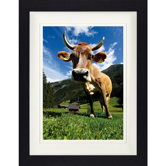 1art1 Bild mit Rahmen Kühe - Kuh Auf Der Alm