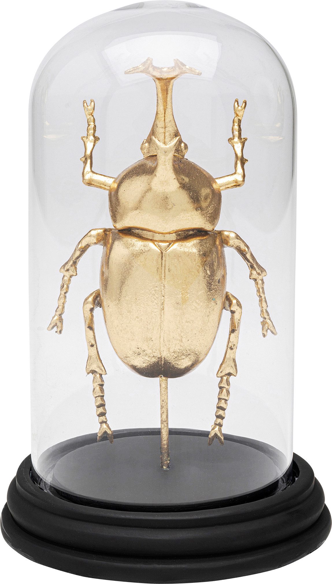 Kare Design Dekoobjekt Stag Beetle 20cm