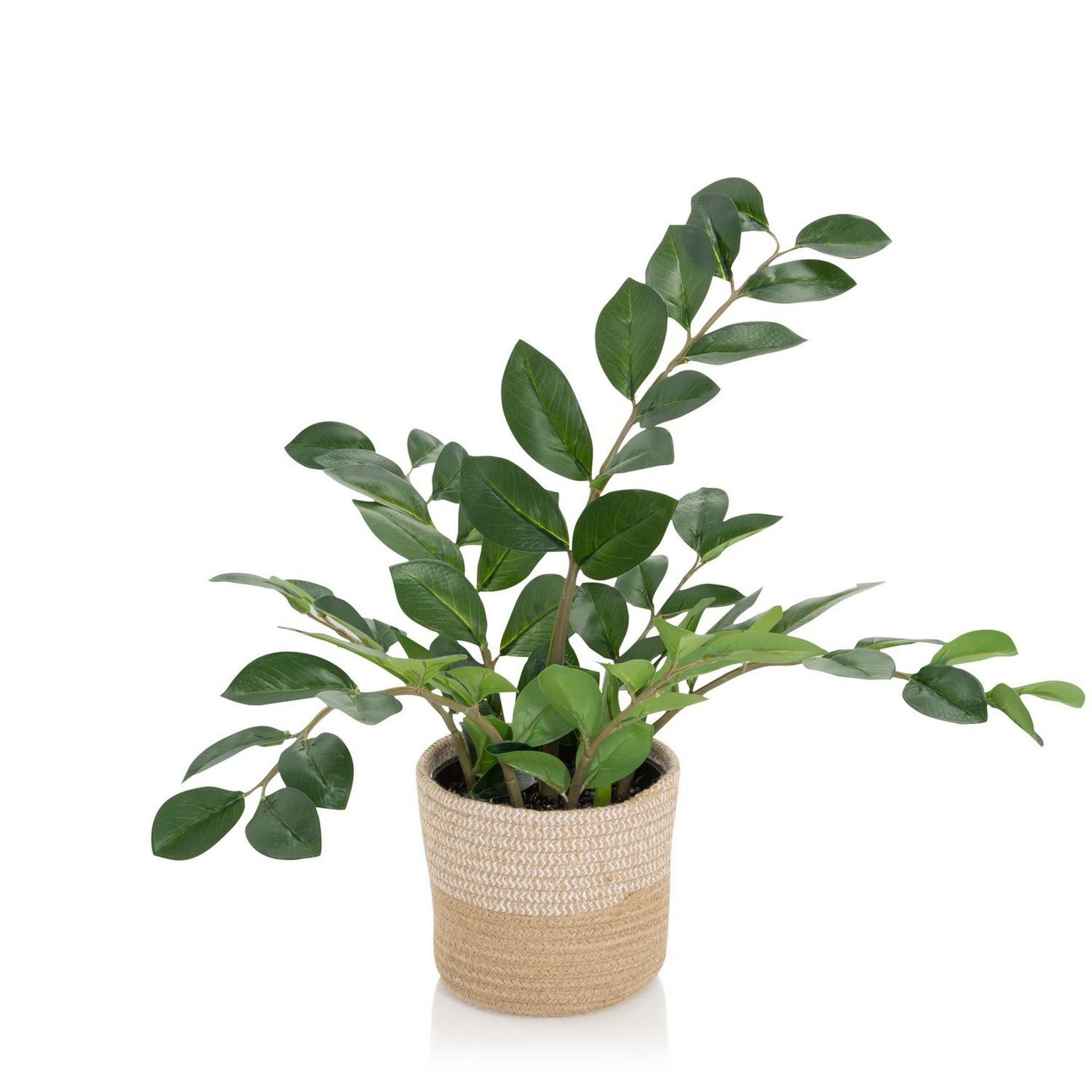 Künstliche Zimmerpflanze Deko Pflanzen, bümö, Höhe 50 cm, Kunstpflanze: Glücksfeder / Zamie für innen- und außen