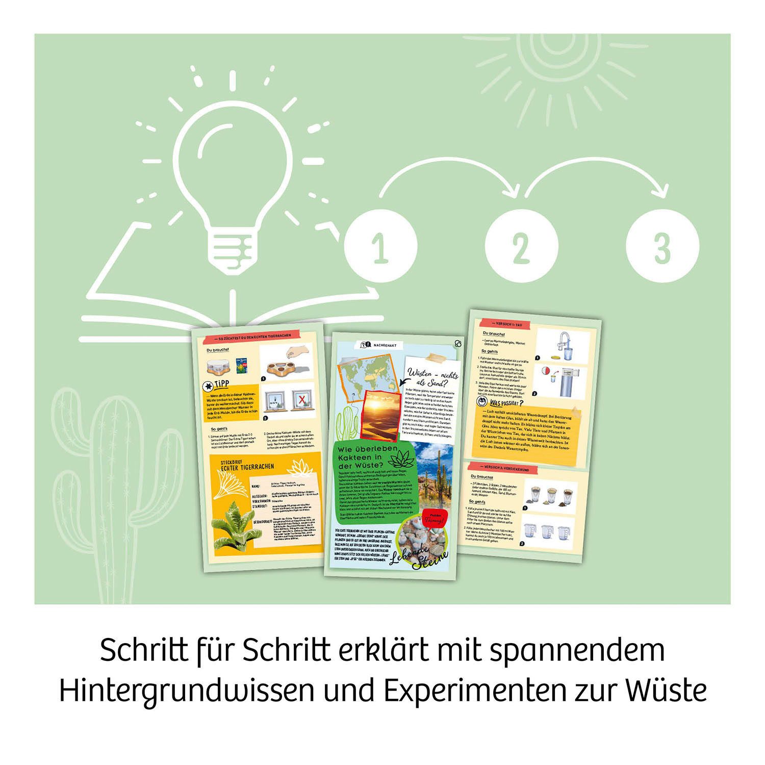 Kosmos Experimentierkasten Kakteen-Wüste, Made in Germany – Bild 5 von 5