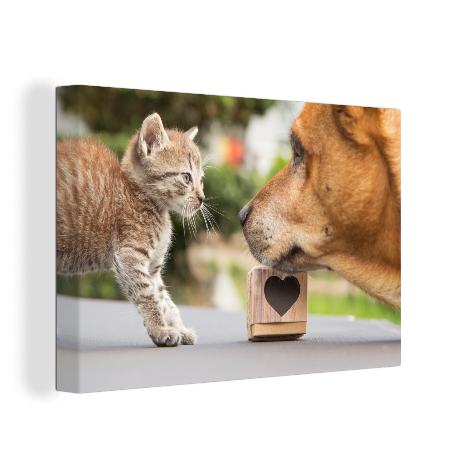 OneMillionCanvasses® Leinwandbild Hund - Katze - günstig online kaufen