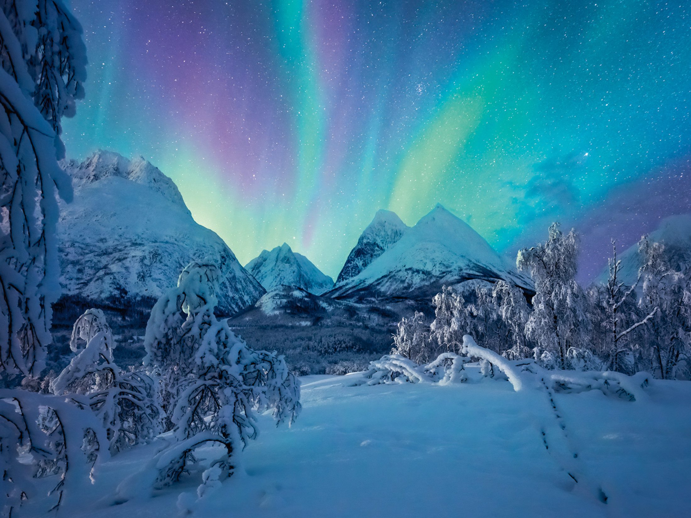 Ravensburger Puzzle power of nature, Wenn die Nordlichter tanzen, 1500 Puzz günstig online kaufen