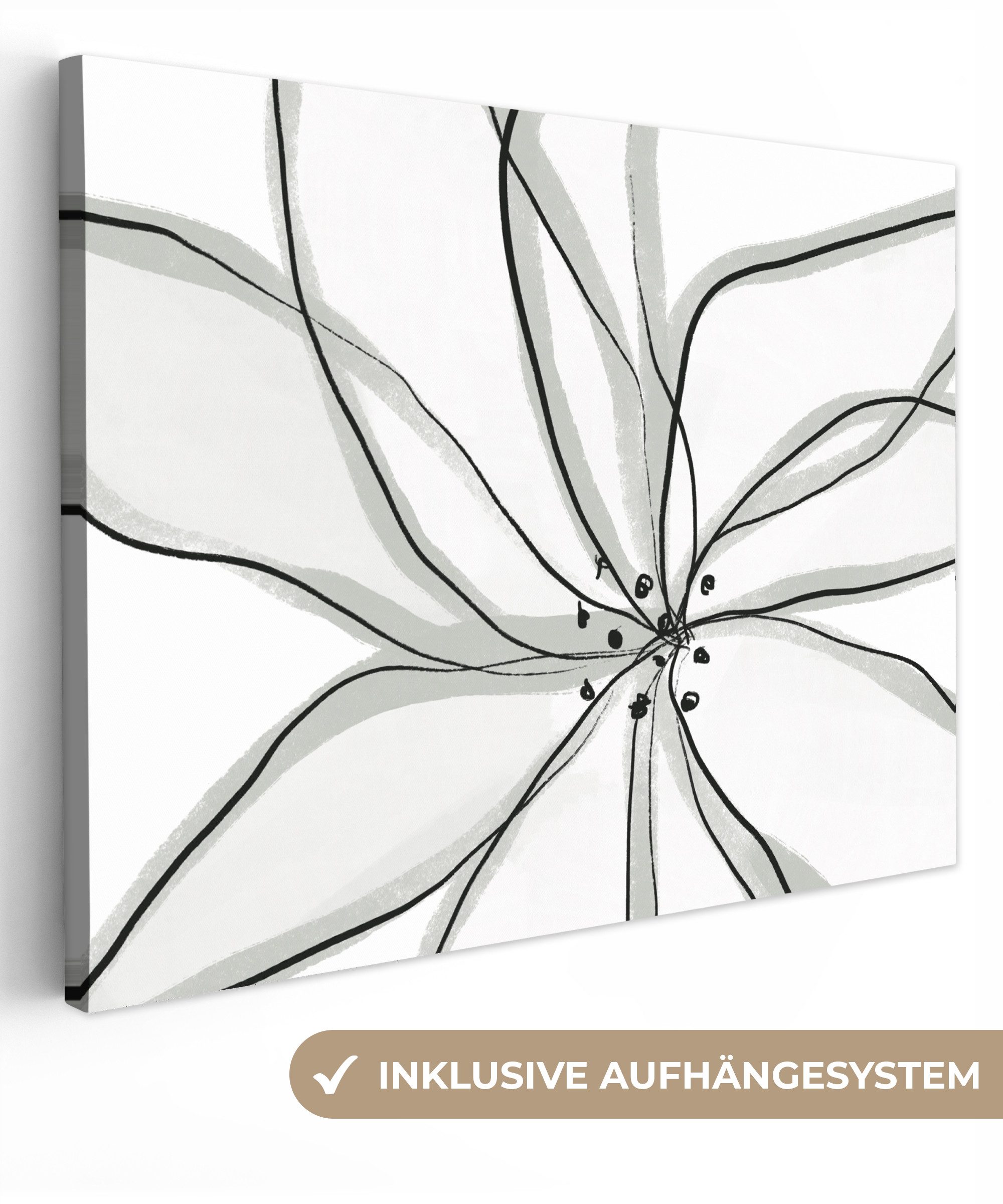 Blume - Kunst - Weiß - Schwarz