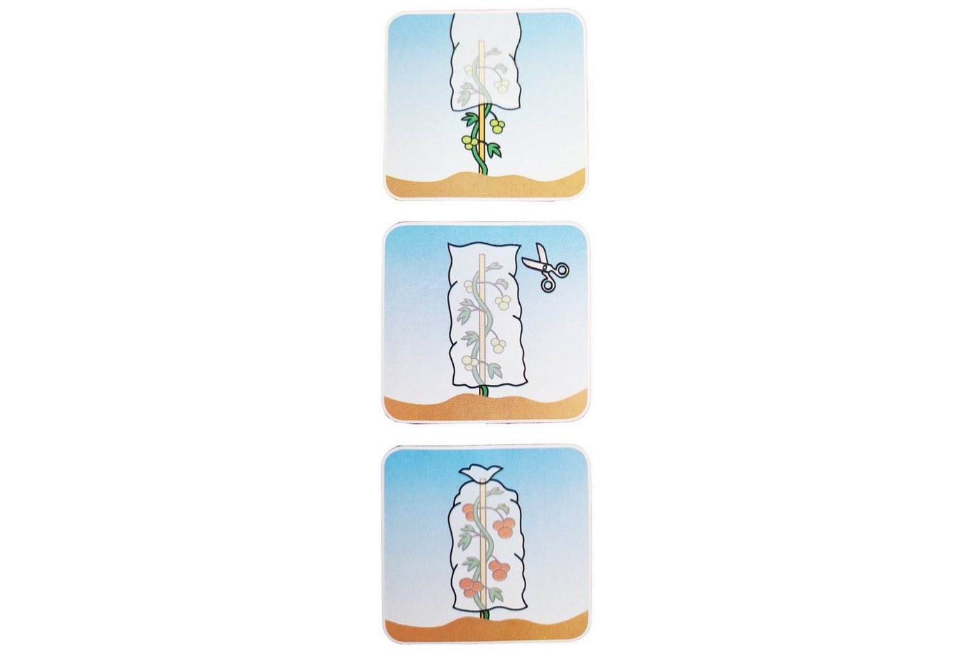 Thumbnail - Prima Flora Winterschutzhaube Tomatenvlieshaube 0,8m x 5m (Stück, 1-St., Tomatenreifehaube), Tomatenreifhaube Reifhaube ...