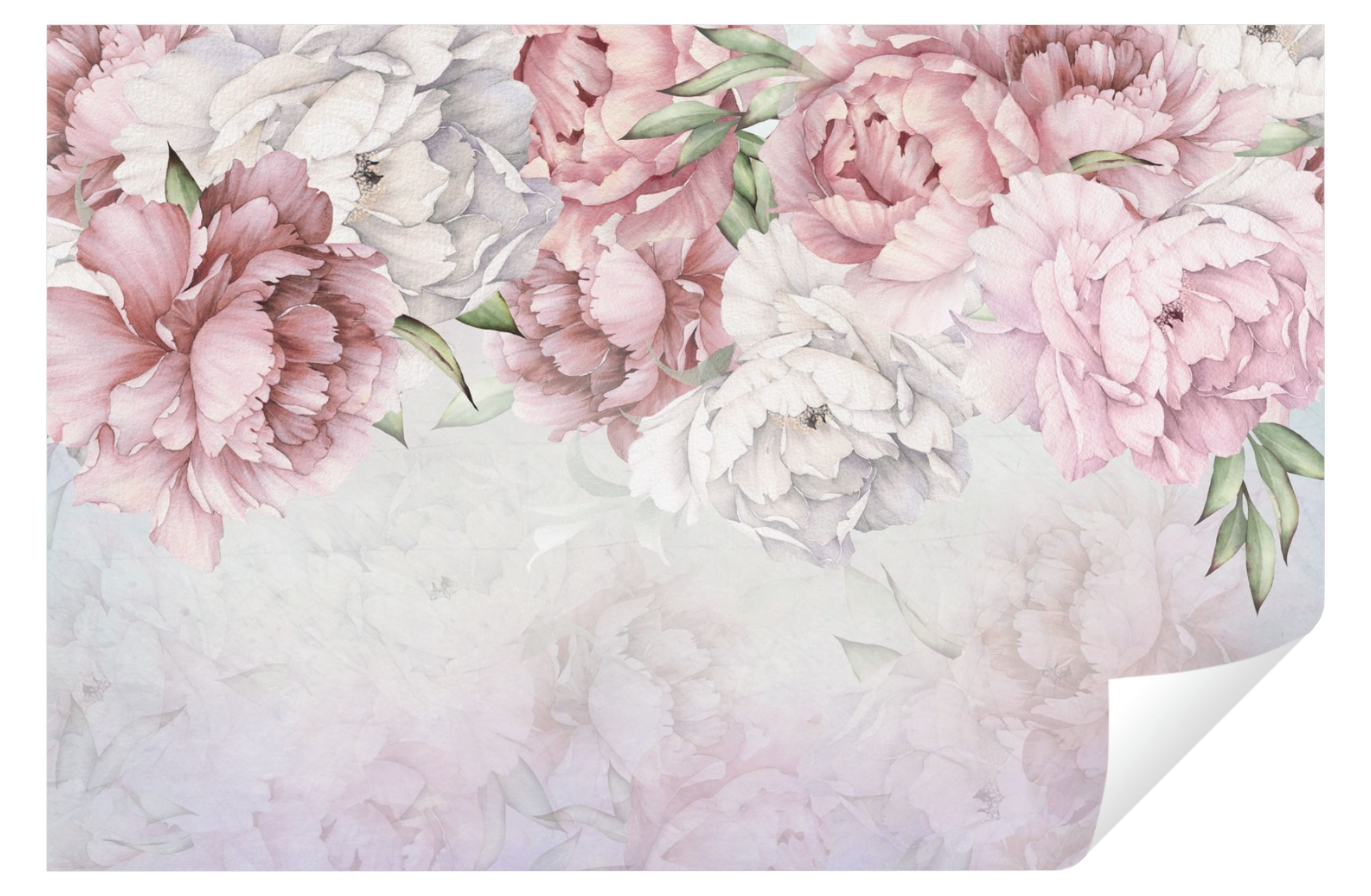 Wallarena Fototapete Blumen Pfingstrosen Romantisch Rosen Wohnzimmer Schlaf günstig online kaufen