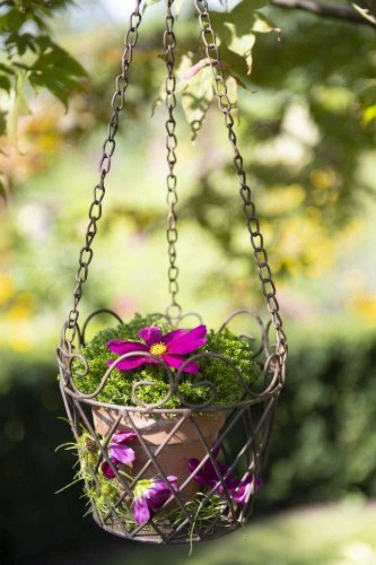 finehomegarden Blumenampel Pflanzgefäß Ampel Metall Schale zum Hängen Ø18cm günstig online kaufen