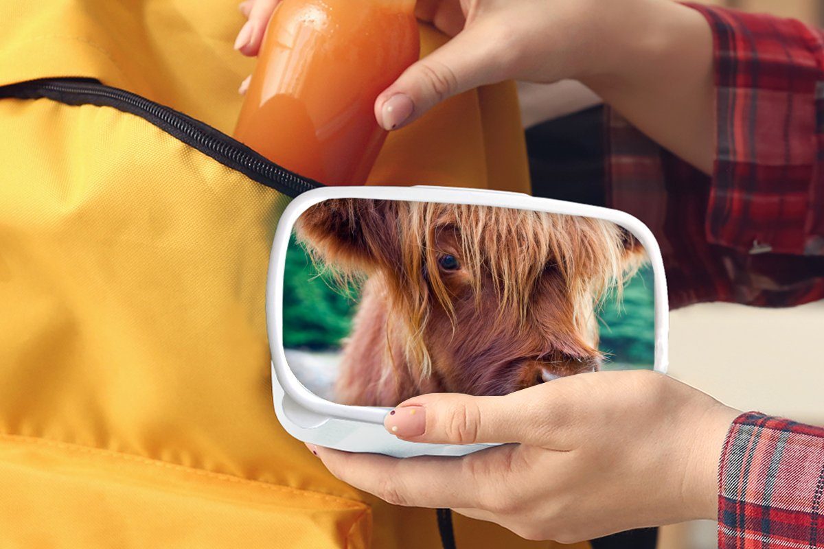 und weiß Highlander Kalb, Kinder (2-tlg), - Mädchen für Erwachsene, Brotdose, - Schottischer und Brotbox für MuchoWow Braun Jungs Lunchbox Kunststoff,