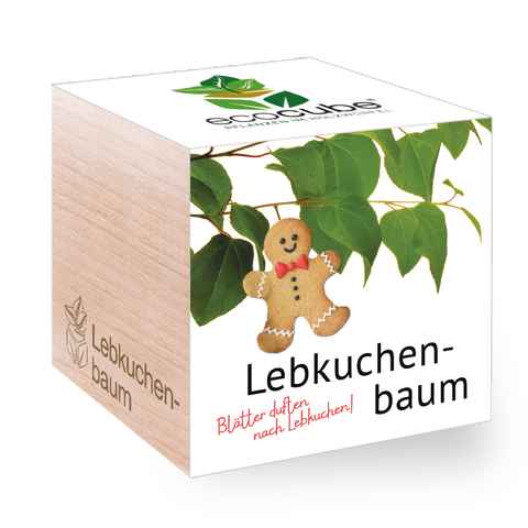 Feel Green Blumenerde Ecocube Lebkuchenbaum von Feel Green, Nachhaltige Geschenkidee, (1-St)