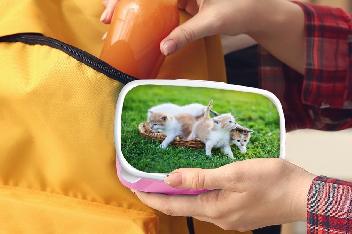 MuchoWow Lunchbox Kätzchen - Katze Erwachsene, Korb Mädchen, - (2-tlg), Kinder, Kinder, Snackbox, - Mädchen - - - Kunststoff Brotbox rosa Jungen Brotdose Kunststoff, Kinder für