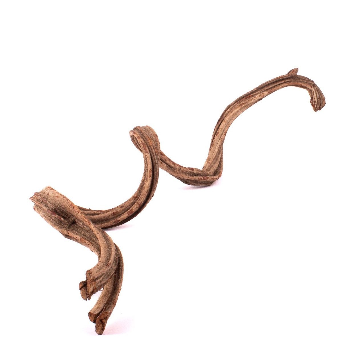 Trockenblume Trockengirlande Cipo Rosca Tangun, Natur, 100-120cm, INNA-Glas, Höhe 120.0 cm