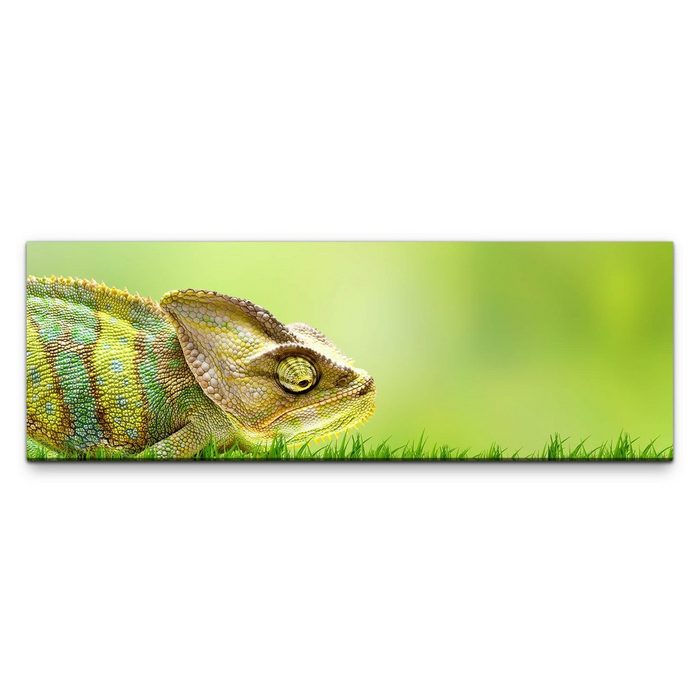möbel-direkt.de Leinwandbild Bilder XXL Chamäleon grün auf Gras Wandbild auf Leinwand
