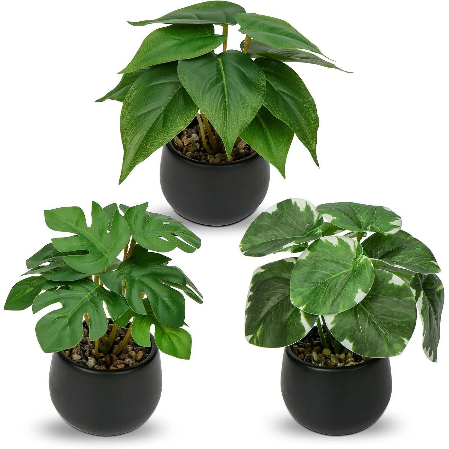 Künstliche Zimmerpflanze 3er Set Kunstpflanze Wie Echt Zimmerpflanze Deko 15 cm Schwarz, Briful