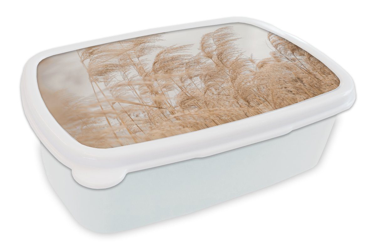 MuchoWow Lunchbox Maserung - Pastell - Stilleben, Kunststoff, (2-tlg), Brotbox für Kinder und Erwachsene, Brotdose, für Jungs und Mädchen weiß