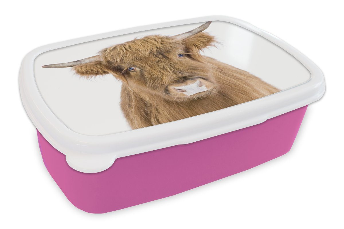 (2-tlg), - Kunststoff, für MuchoWow Snackbox, Tiere Erwachsene, Lunchbox Hochländer - Schottischer Brotbox Brotdose Mädchen, Kinder, Kunststoff - Natur, rosa Braun