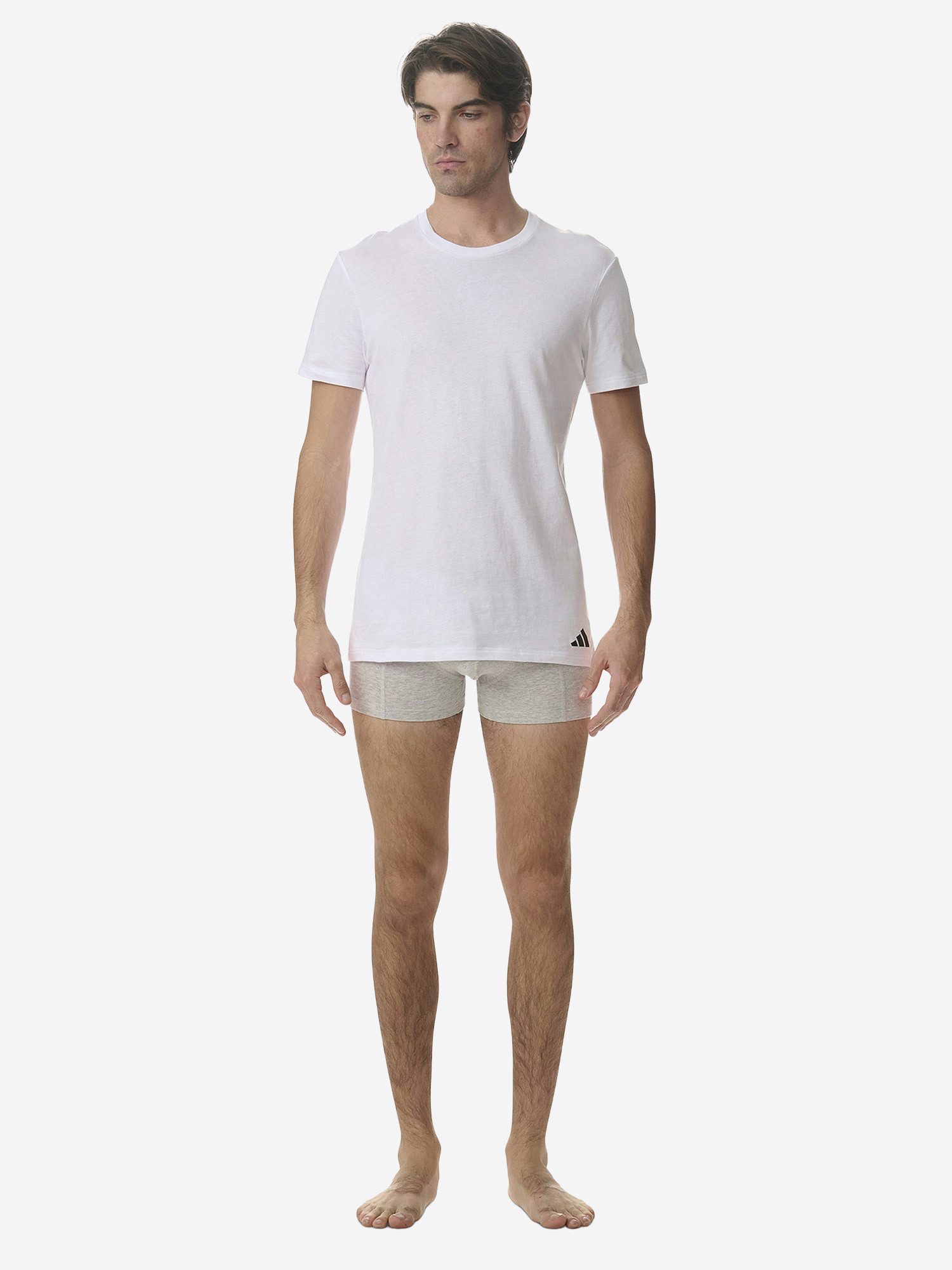adidas Sportswear T-Shirt Active Core Cotton günstig online kaufen