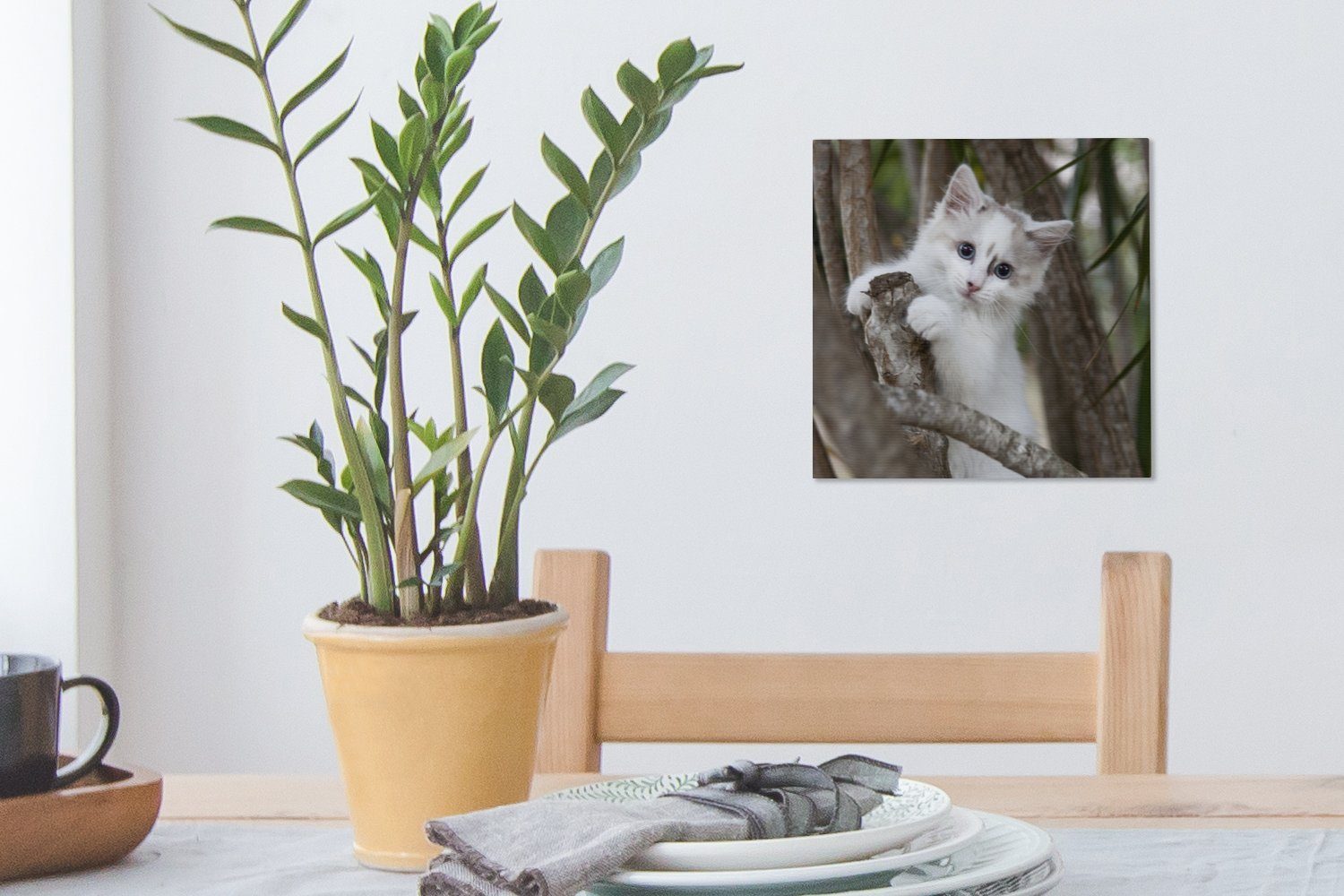 Ast, (1 Bilder Leinwand auf Wohnzimmer St), Schlafzimmer Weißes einem OneMillionCanvasses® Leinwandbild für Ragdoll-Kätzchen