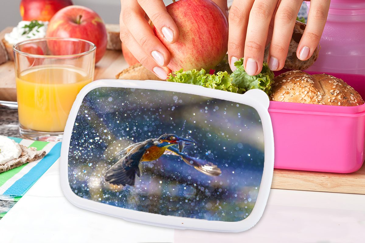 - Kinder, Eisvogel Lunchbox für Brotbox Wasser MuchoWow Kunststoff Brotdose Erwachsene, Kunststoff, Snackbox, Mädchen, - Fisch, rosa (2-tlg),