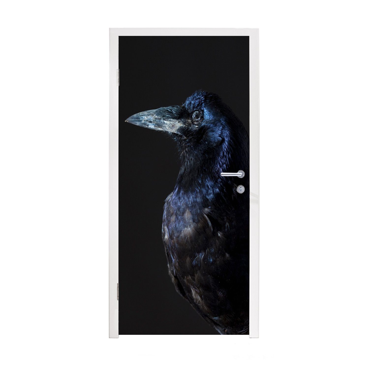 MuchoWow Türtapete Vogel - Tiere - Schwarz, Matt, bedruckt, (1 St), Fototapete für Tür, Türaufkleber, 75x205 cm