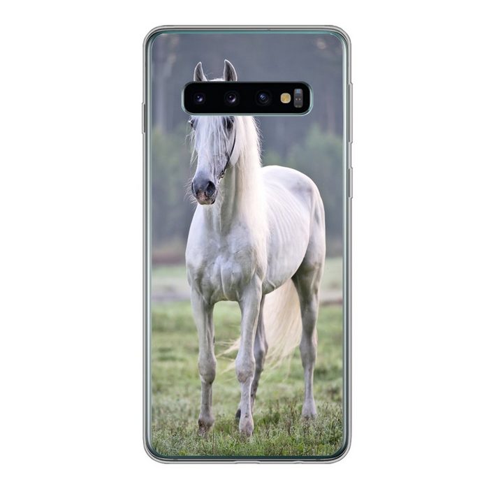 MuchoWow Handyhülle Pferd - Licht - Morgen Phone Case Handyhülle Samsung Galaxy S10 Silikon Schutzhülle