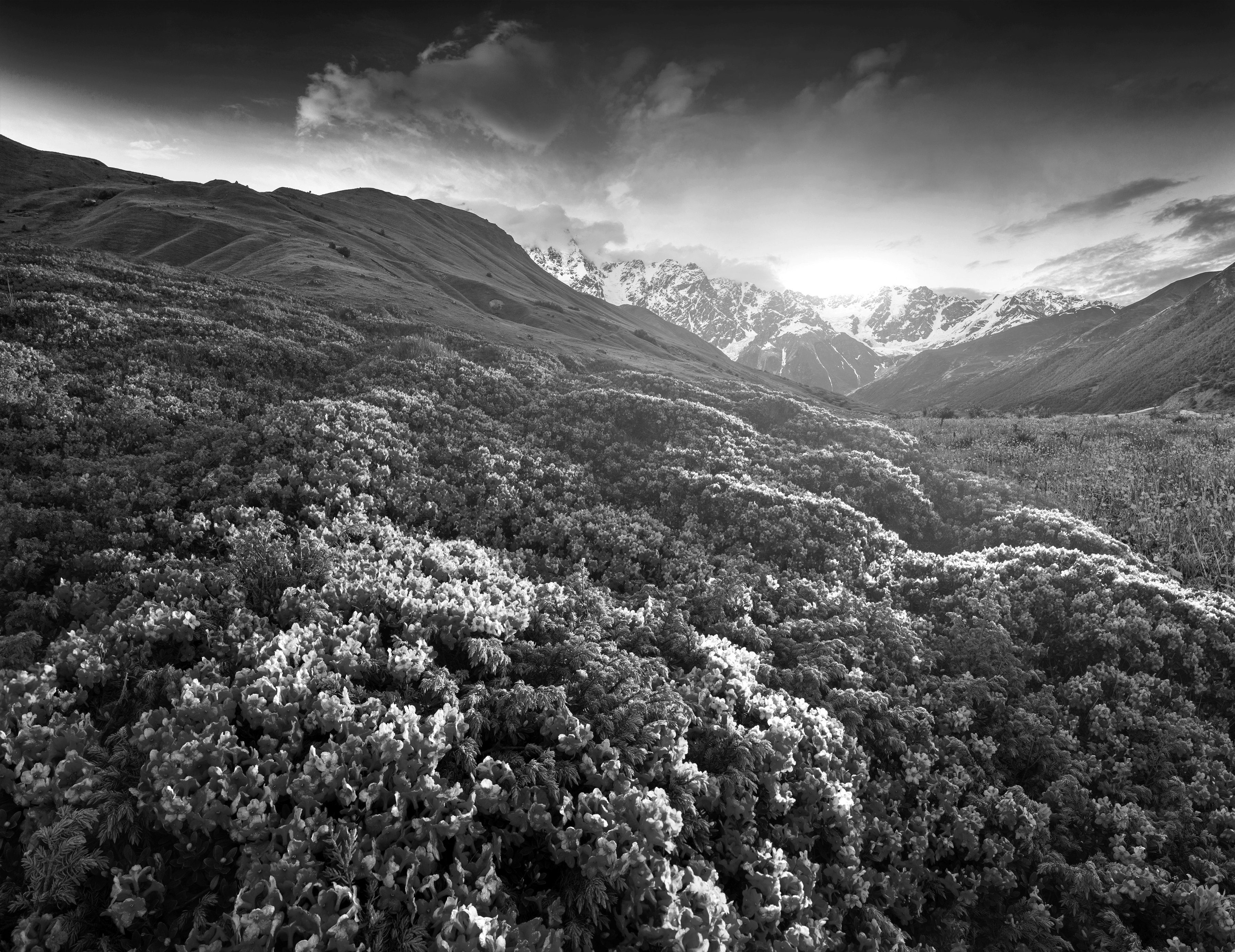 Landschaft & Fototapete Schwarz Weiß Papermoon
