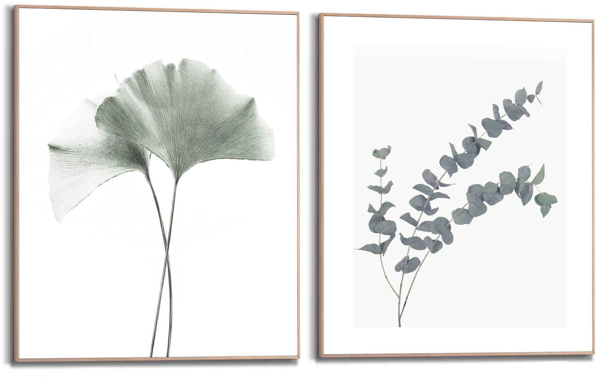 Naturmotiv (2 - Reinders! Blätter Eukalyptus mit Botanisch Ginko Pflanze, Bild - blatt Rahmen St),
