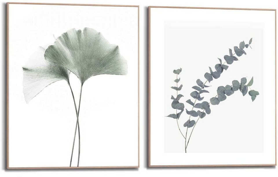 Reinders! Bild mit Rahmen Eukalyptus blatt Pflanze, Blätter (2 St), Ginko -  Naturmotiv - Botanisch