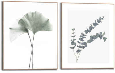 Reinders! Bild mit Rahmen Eukalyptus blatt Pflanze, Blätter (2 St), Ginko - Naturmotiv - Botanisch