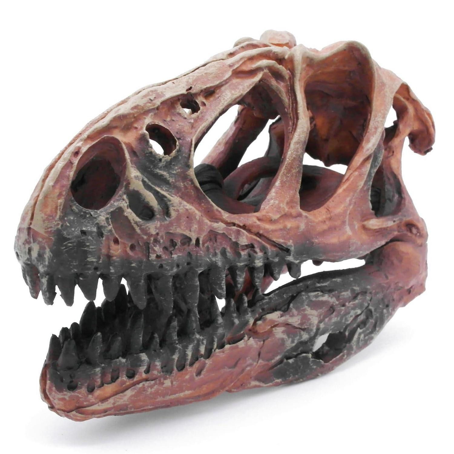 LuxusKollektion Aquariendeko Aquarium Dino Schädel Deko