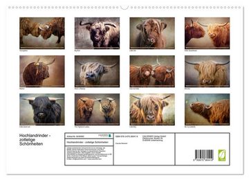 CALVENDO Wandkalender Hochlandrinder - Zottelige Schönheiten (Premium, hochwertiger DIN A2 Wandkalender 2023, Kunstdruck in Hochglanz)