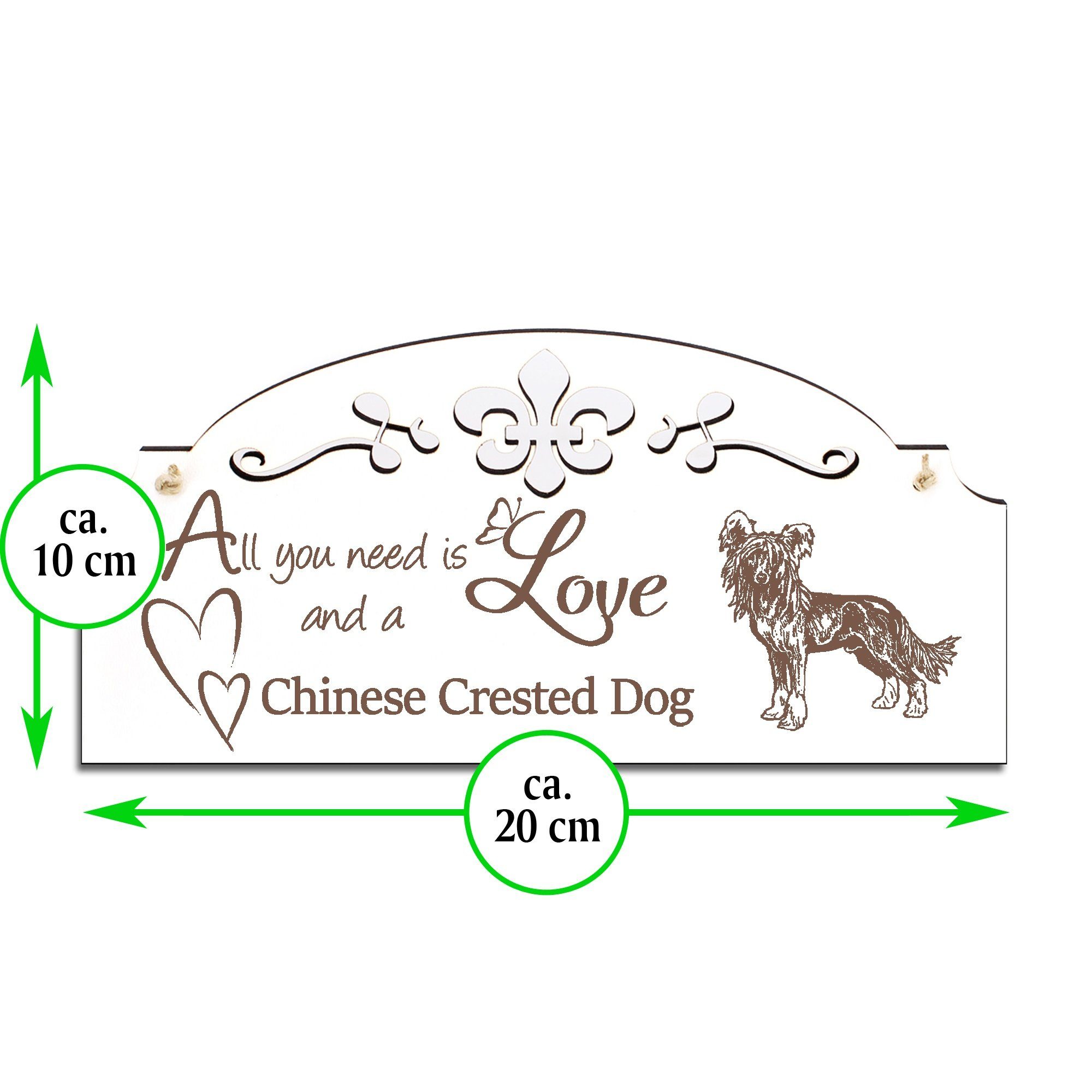 is Chinesischer Schopfhund Dekolando Hängedekoration All need Deko you Love 20x10cm