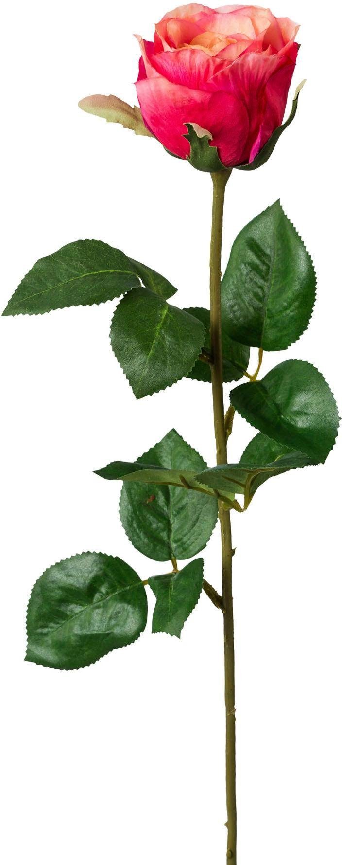 Kunstblume, Creativ green, Höhe 69 cm günstig online kaufen