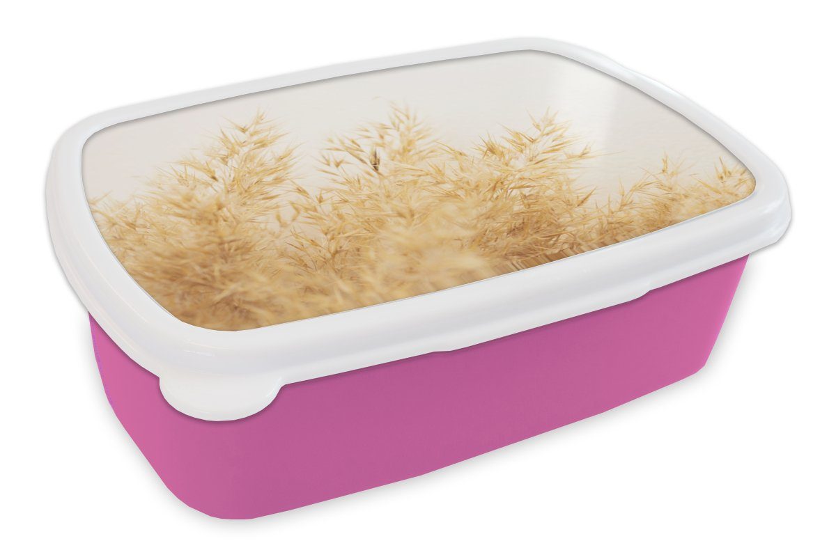 MuchoWow Lunchbox Pampasgras - Sonne - Gras, Kunststoff, (2-tlg), Brotbox für Erwachsene, Brotdose Kinder, Snackbox, Mädchen, Kunststoff rosa | Lunchboxen