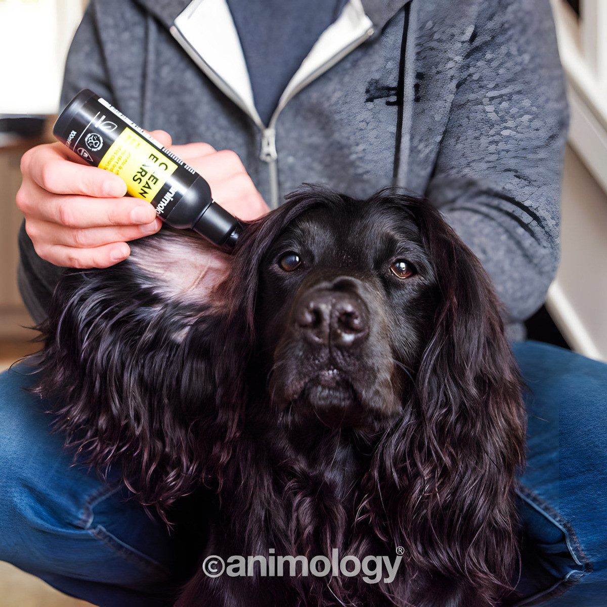 Animology Ohrenreiniger Ohreneiniger 100 ml