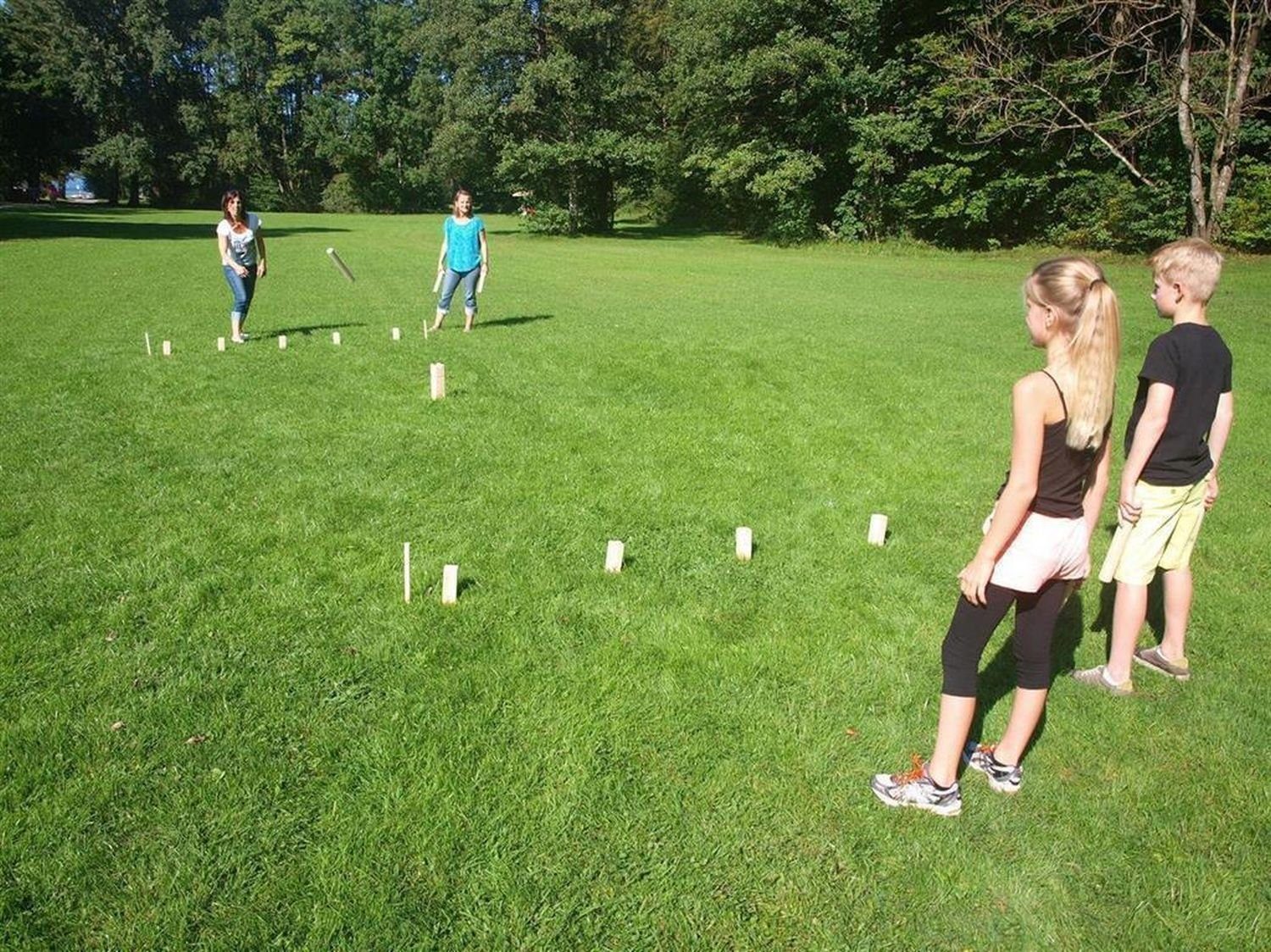 Schildkröt Spiel Kubb Schwedenschach