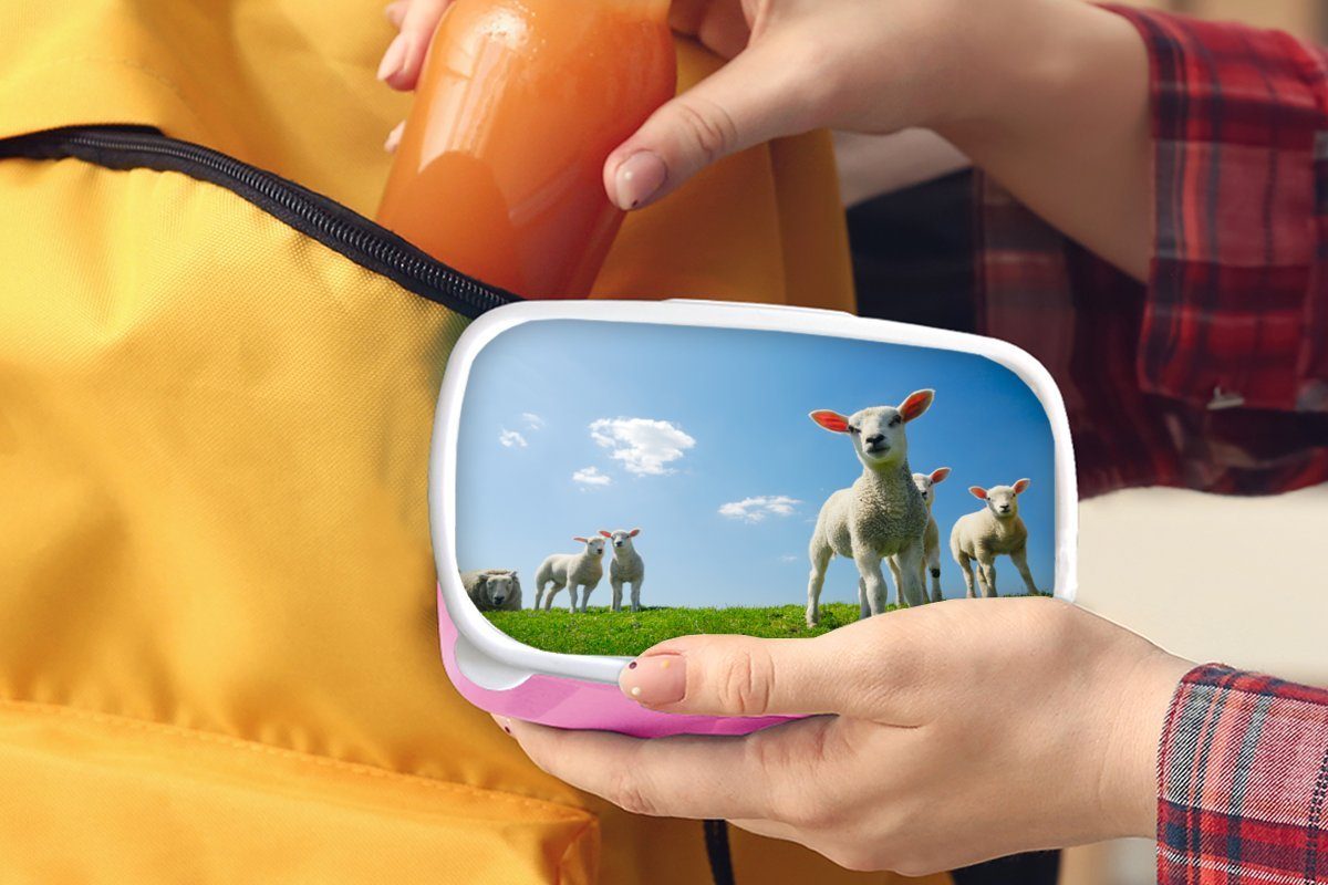 rosa Snackbox, Mädchen, Brotdose Brotbox - Erwachsene, Schafe - (2-tlg), MuchoWow Landschaft, Kunststoff, Lunchbox Frühling Kunststoff für Kinder,