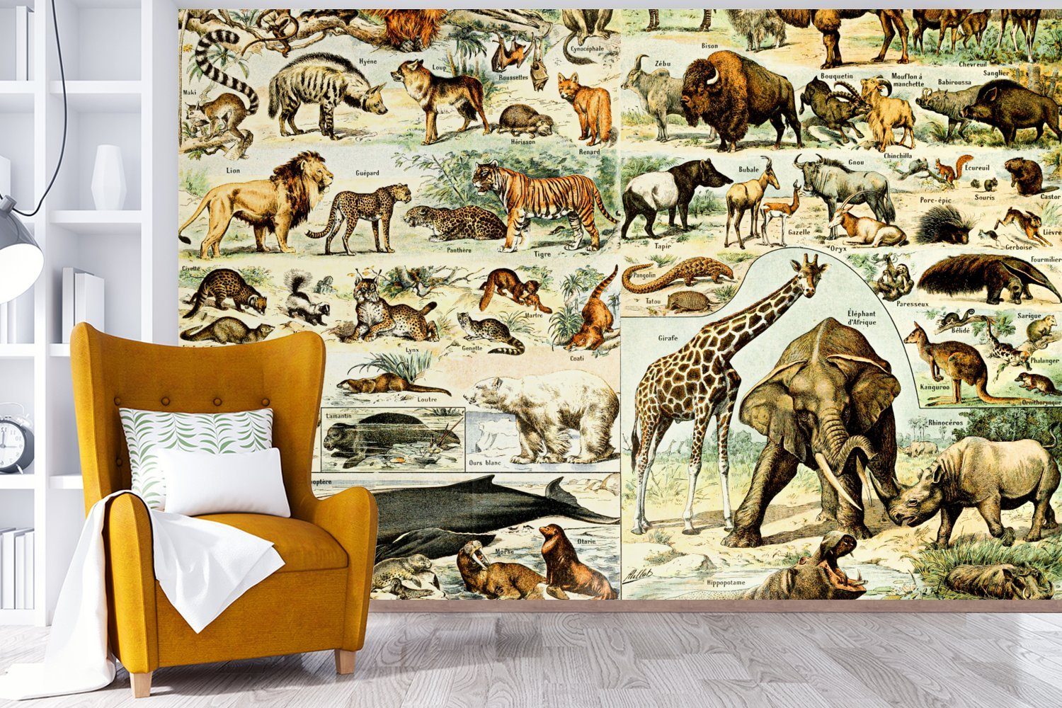 Fototapete Löwe, - für Schlafzimmer, Kinderzimmer, - Giraffe Vinyl Tiere Wohnzimmer, MuchoWow bedruckt, Wallpaper (6 Tapete Matt, St),
