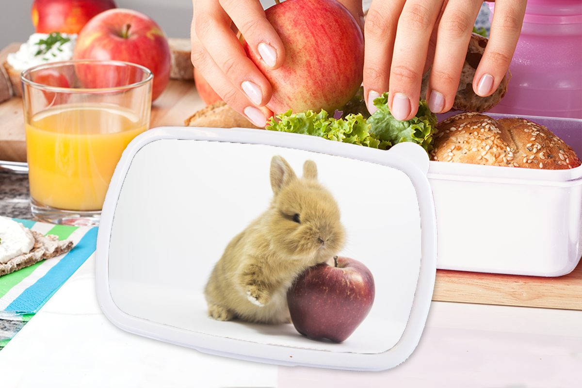 Kinder Kunststoff, MuchoWow für Mädchen Lunchbox - Brotdose, Apfel, weiß Baby Kaninchen Erwachsene, und für und - (2-tlg), Jungs Brotbox