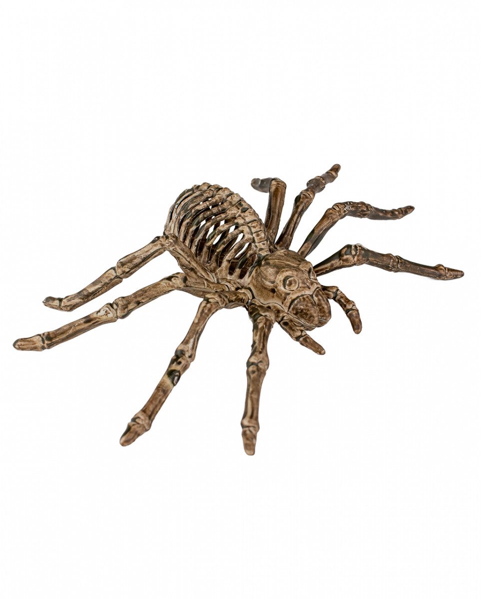 Dekoobjekt Skelett Spinne als Halloween Dekoration 24cm