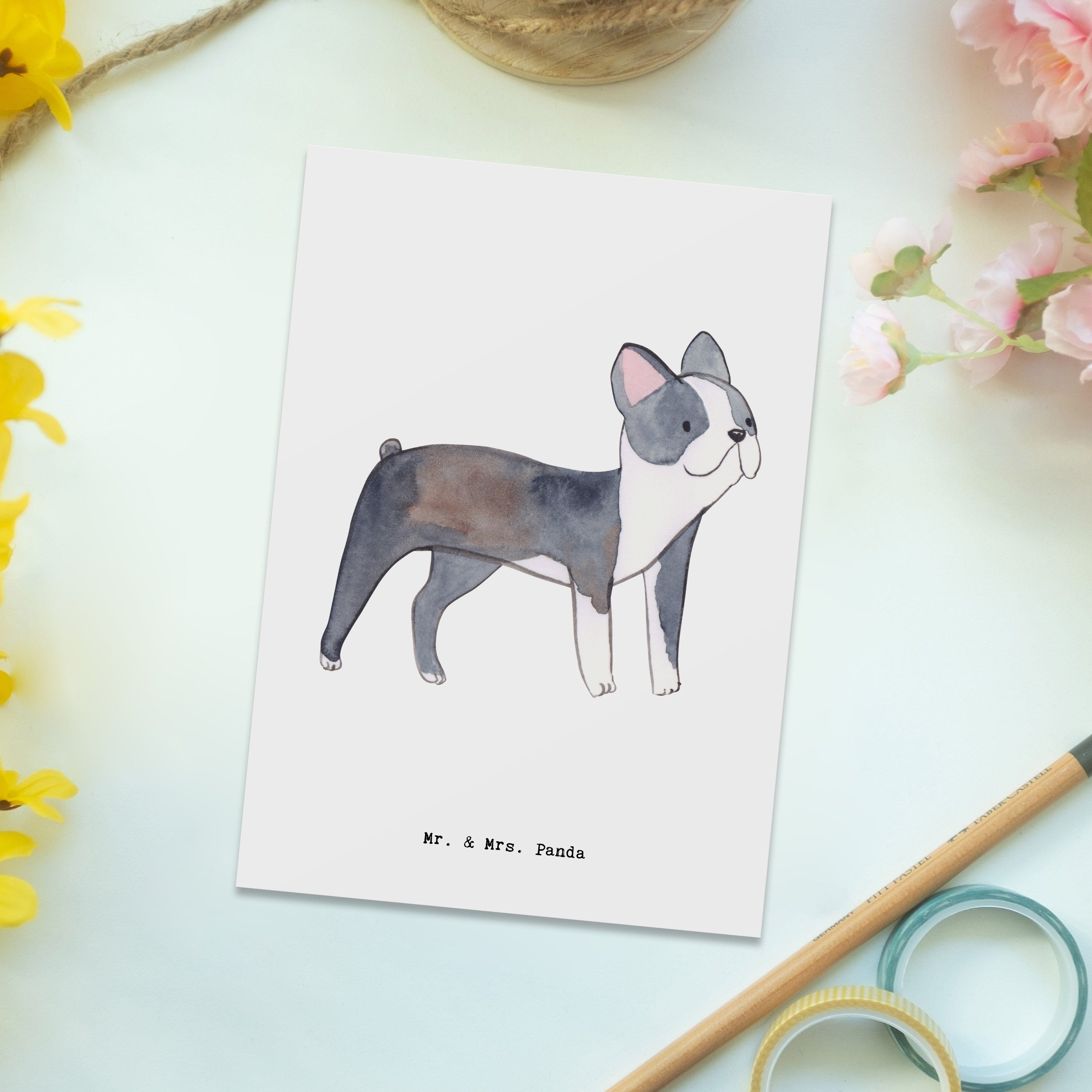 Mr. & Mrs. Panda - - Boston Geschenk, Terrier Postkarte Geschenkkarte, Tierfre Hund, Moment Weiß