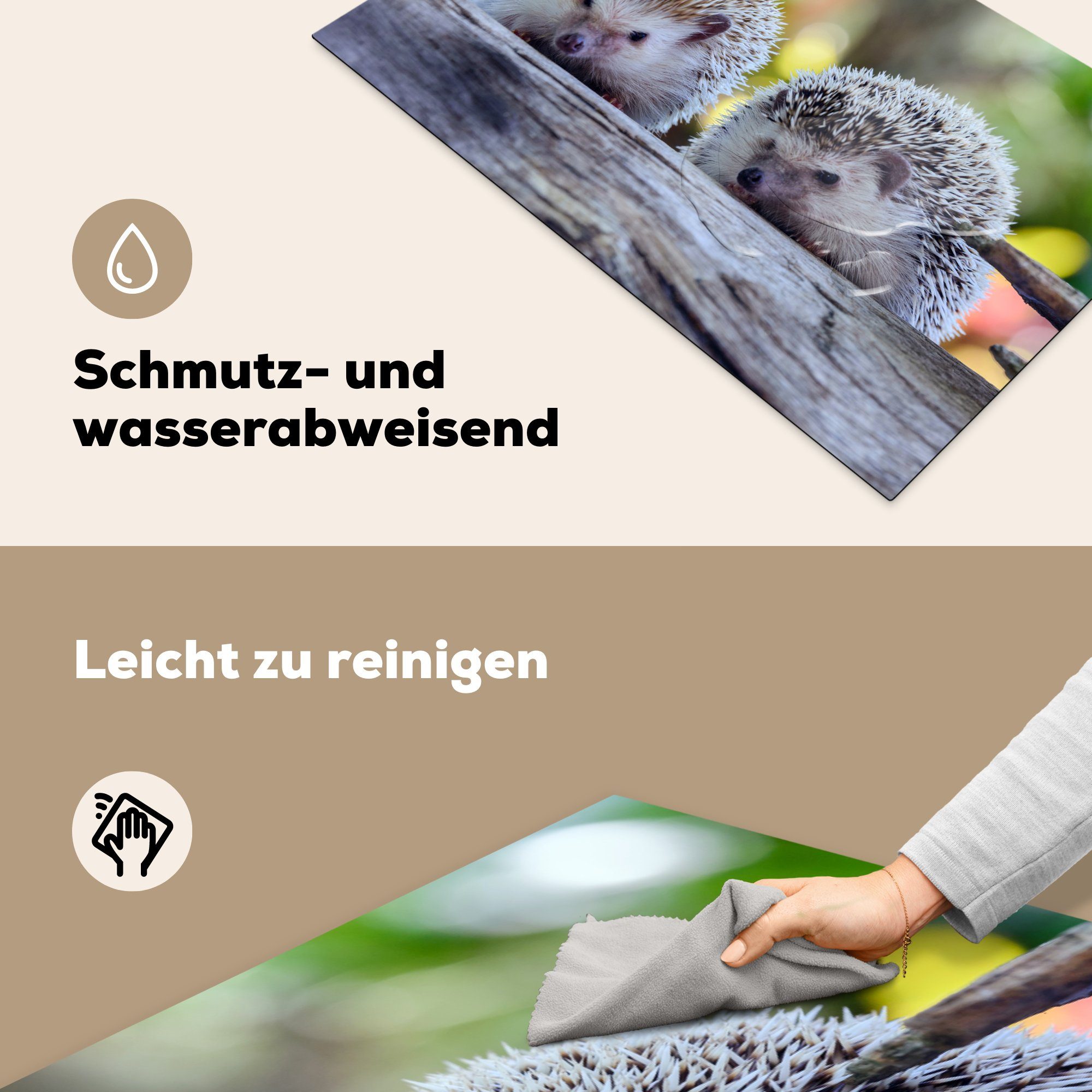 cm, küche tlg), Igel sitzen auf Zwei einem MuchoWow 83x51 Vinyl, Ast, Herdblende-/Abdeckplatte Ceranfeldabdeckung, Arbeitsplatte für (1