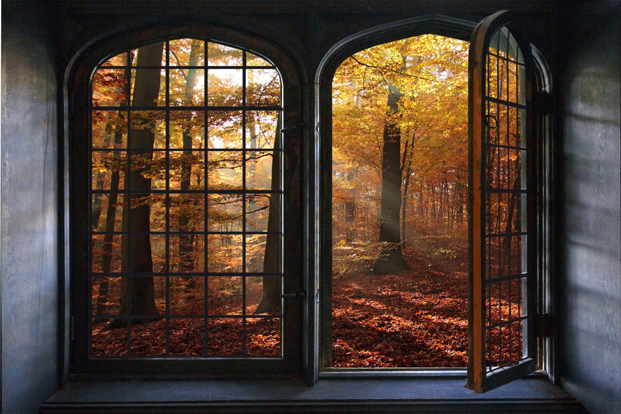 queence Wandsticker Herbsttag, Wandsticker, Wandbild, selbstklebend, 3D, Fenster