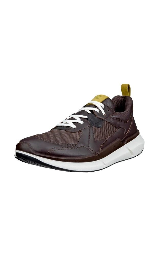 Ecco Biom 2.2 GTX (Premium-Leder, wasserdicht) günstig online kaufen