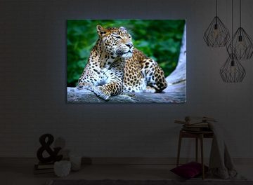 lightbox-multicolor LED-Bild Leopard in der Natur front lighted / 60x40cm, Leuchtbild mit Fernbedienung
