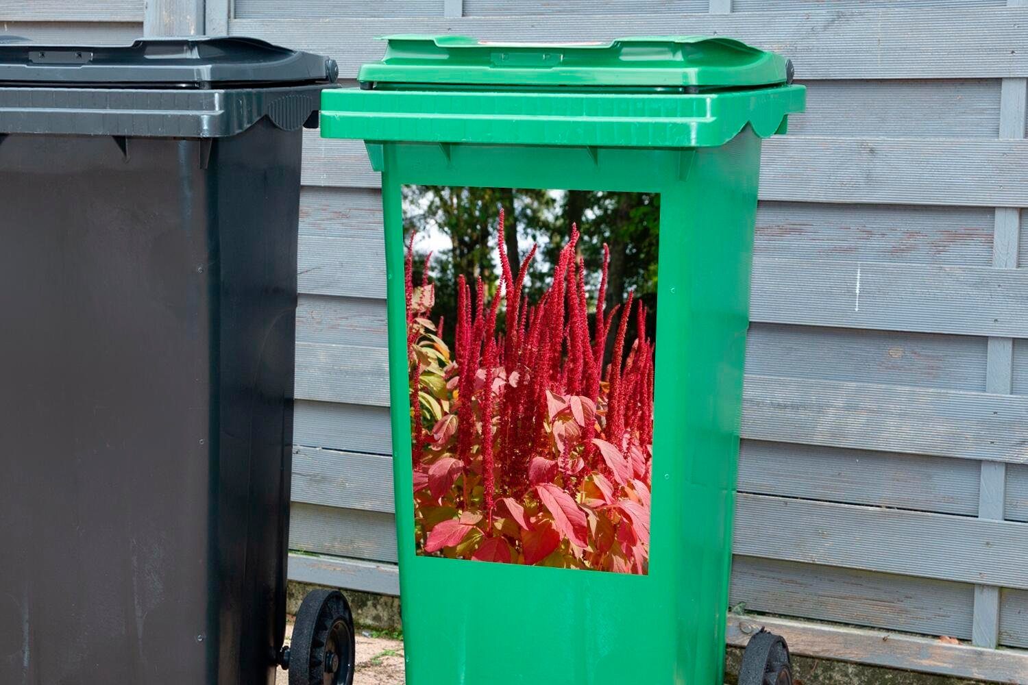 MuchoWow Wandsticker Leuchtend der Farben Container, Amaranth-Pflanze rote St), (1 Mülleimer-aufkleber, einem Sticker, Wald Mülltonne, Abfalbehälter in