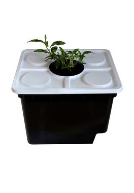 CINNEA Anzuchttopf Hydrokultur-Box für Kräuter und Gemüseanbau