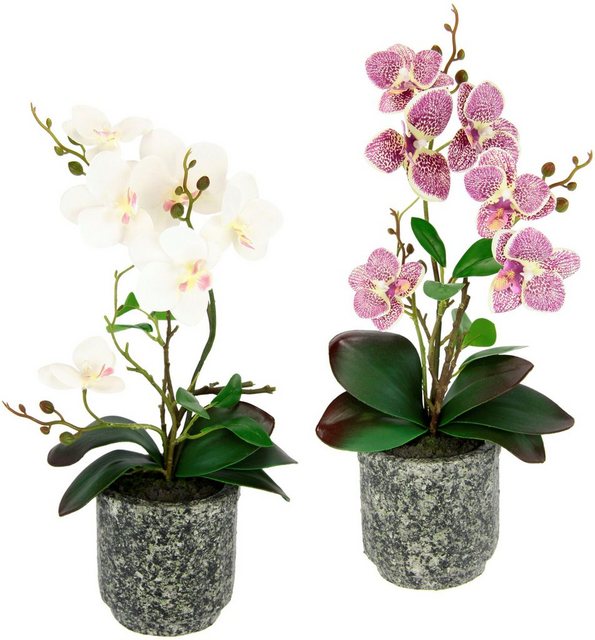 Kunstpflanze »Orchidee«, I.GE.A., Höhe 38 cm, Mit Blättern und Luftwurzeln, im Topf aus Keramik, 2er Set-Otto