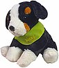 Heunec® Kuscheltier »Berner Sennenhund, 38 cm«, mit grünem Halstuch und individueller Bestickung, Bild 1