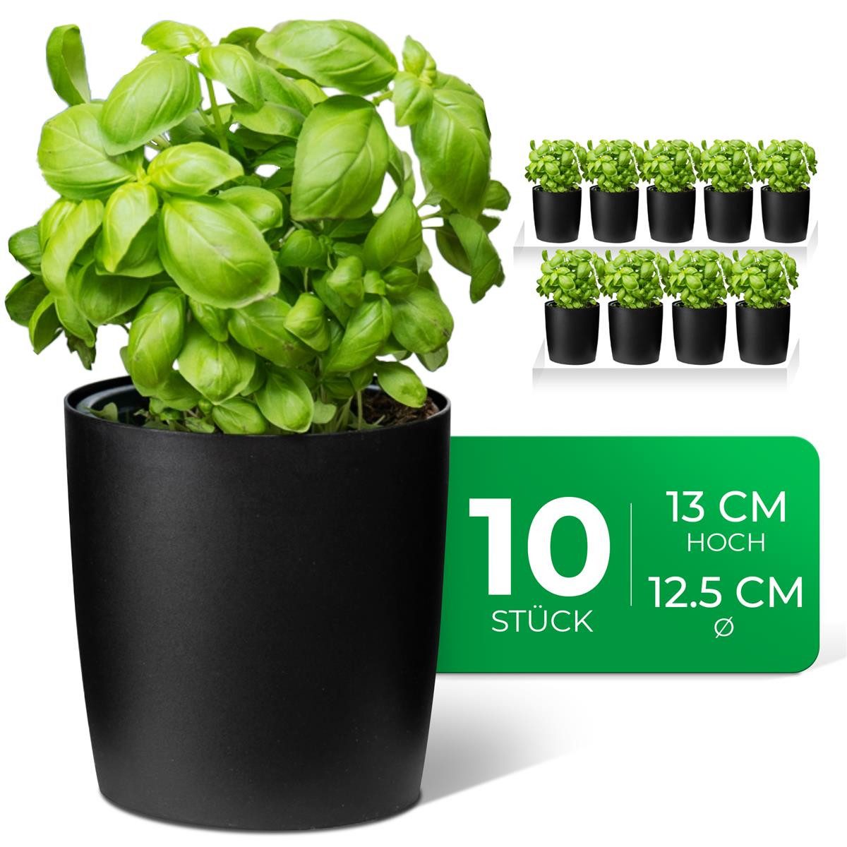 Novaliv Kräutertopf - (10 St), 10x günstig online kaufen