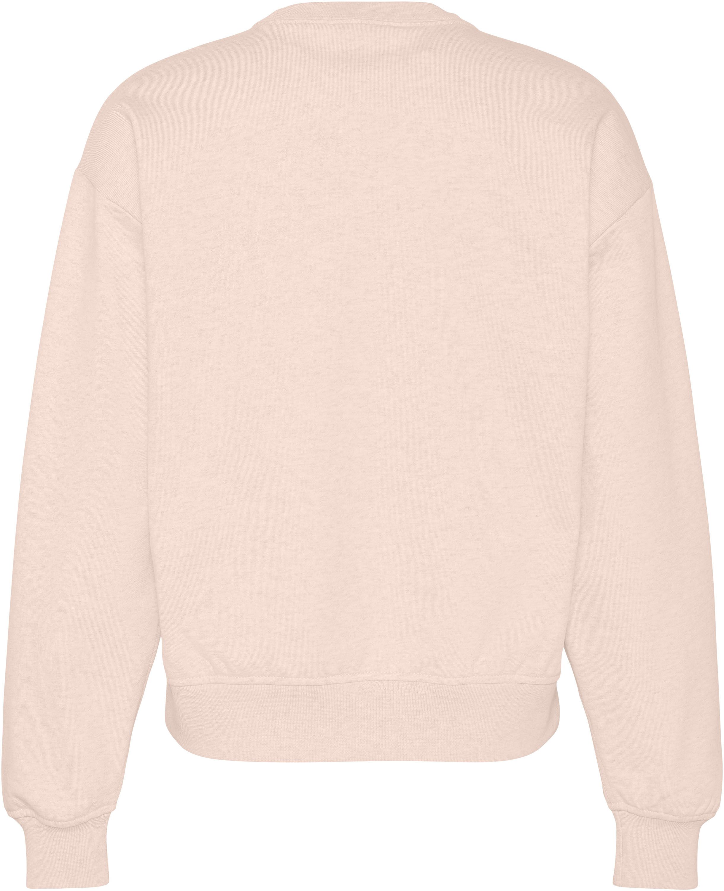 Calvin Klein Jeans Sweatshirt LS MONOLOGO FRENCH TERRY RLXD CR, Logoschriftzug